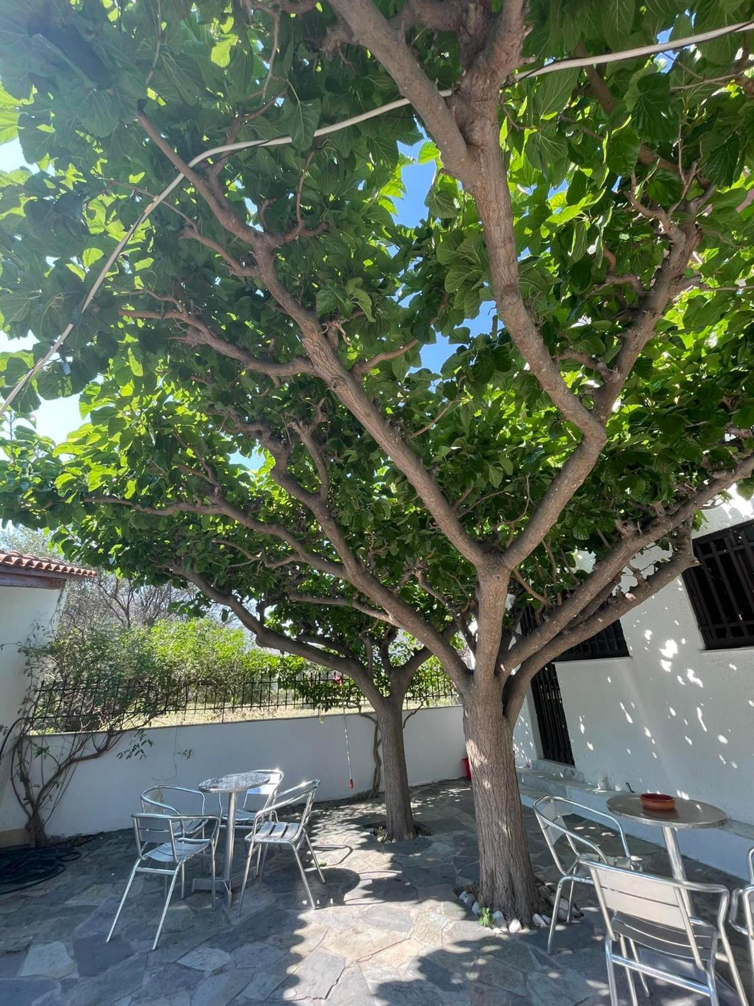 Yfantis Sakis Apartment'S エラティニ エクステリア 写真